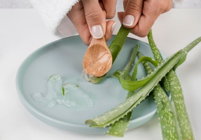 Savez-vous comment l'aloe vera peut vous aider à combattre le psoriasis ?